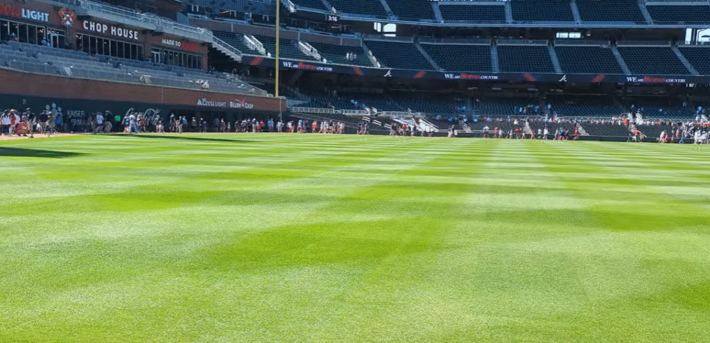 Which kind of Grass is used in Baseball Match